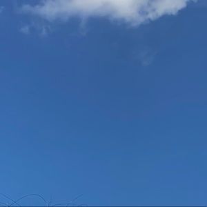 Meet your Posher, Ana